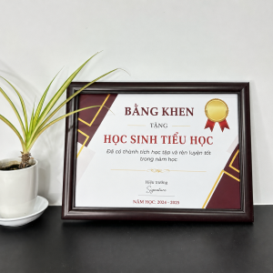 Khung bằng khen, khung chứng nhận màu nâu