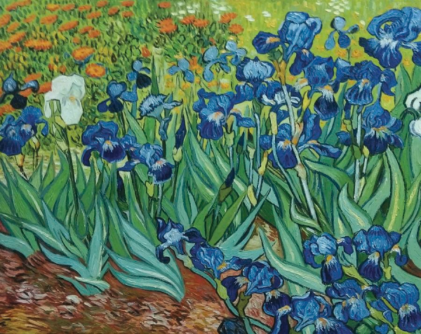 Bức tranh phong cảnh nổi tiếng thế giới Cánh đồng hoa Diên Vĩ IRISES của Vincent Van Gogh