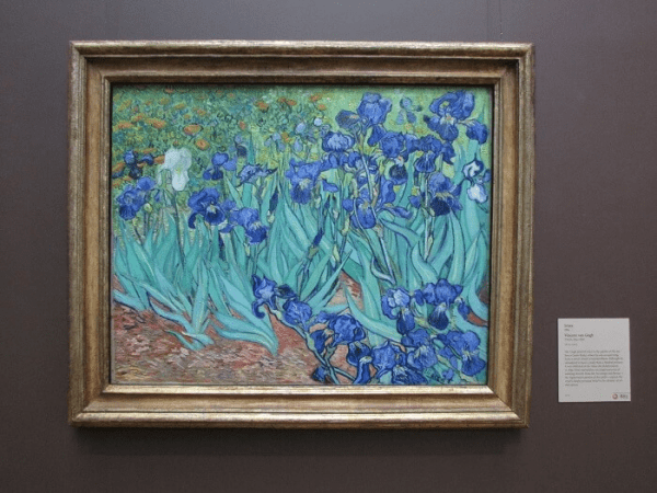 Bức tranh Hoa Irises