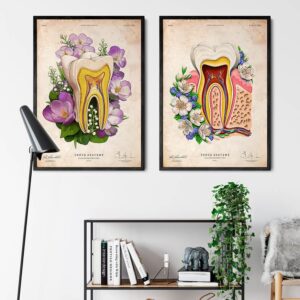 Tranh nha khoa PTR0201