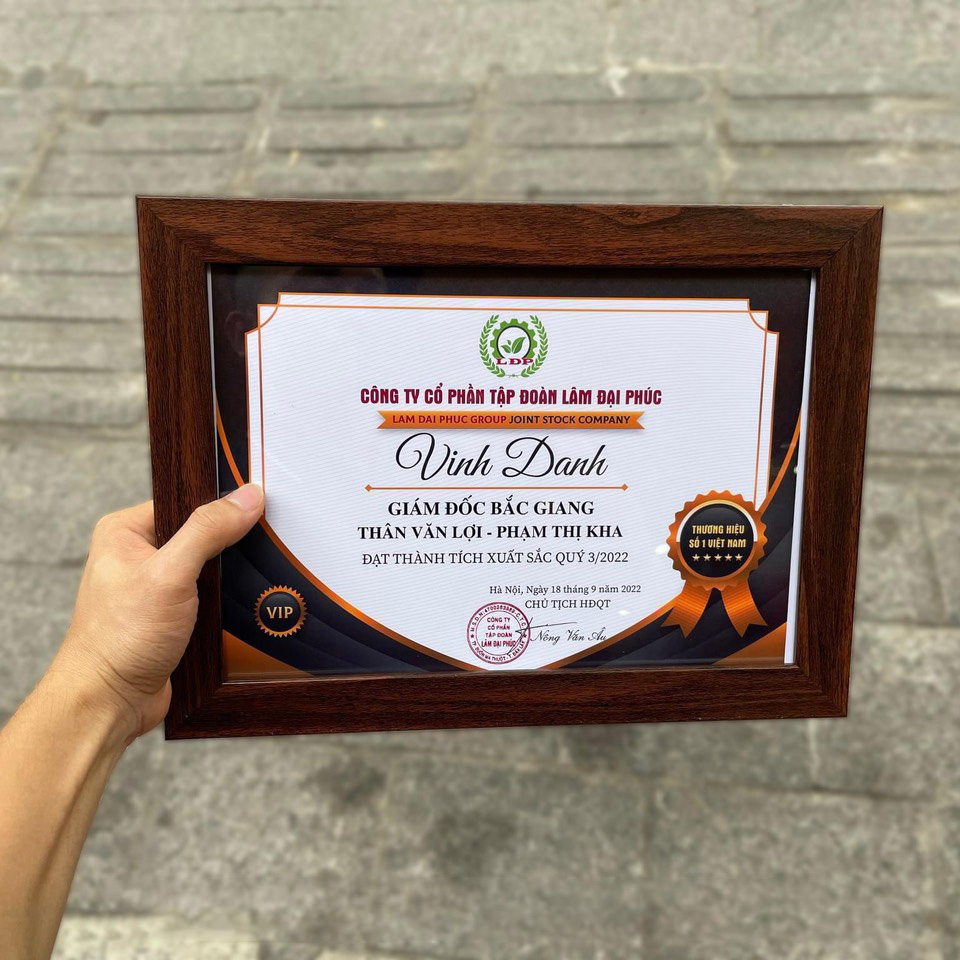 Khung bằng khen 21x30, 30x42, 25x35 trắng vàng kim BK07 1 cb6ba0167bfed0a089ef2