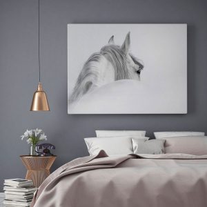Tranh đơn nghệ thuật ngựa trắng CV01004