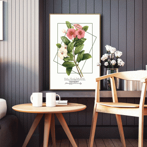 Tranh đơn vẽ hoa 5 cánh CV01527