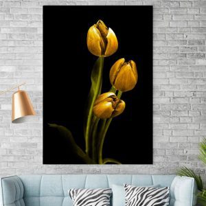 Tranh đơn nghệ thuật hoa tulip vàng CV01018