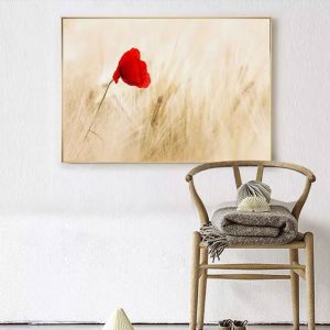 Tranh đơn bông hoa poppy đỏ CV01077