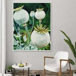 Tranh đơn hoa bông trắng CV01429