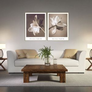 Bộ 2 tranh hoa cổ điển CV02228