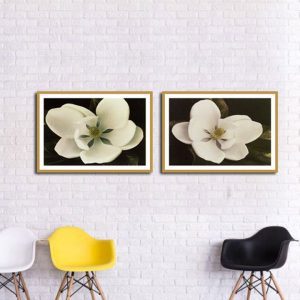 Bộ 2 tranh bông hoa trắng CV02237