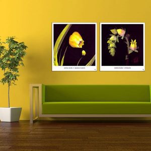 Bộ 2 tranh hoa vàng CV02334