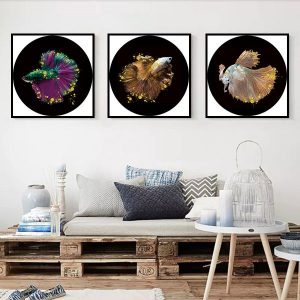 Bộ 3 tranh cá nghệ thuật màu sắc CV03197