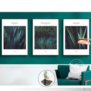 Bộ 3 tranh chụp nghệ thuật cỏ xanh CV03464