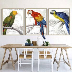 Bộ 3 tranh chim vẹt màu sắc CV03586