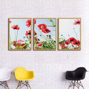 Bộ 3 tranh cánh đồng hoa poppy CV03661