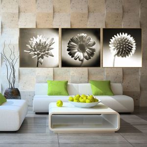 Bộ 3 tranh hoa đen trắng nghệ thuật CV03663