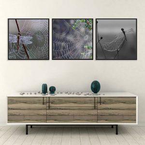 Bộ 3 tranh sau cơn mưa CV03785