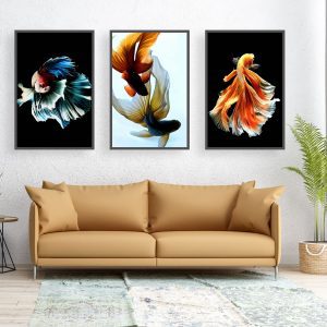 Bộ 3 tranh cá vàng màu sắc CV03919