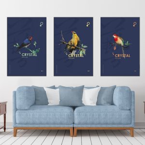 Bộ 3 tranh chim vẹt màu sắc CV03936