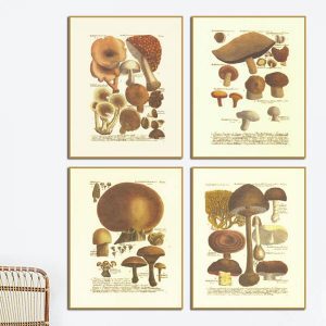 Bộ 4 tranh cây nấm phong cách cổ điển MS0469