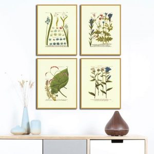 Bộ 4 tranh vẽ hoa lá MS0471