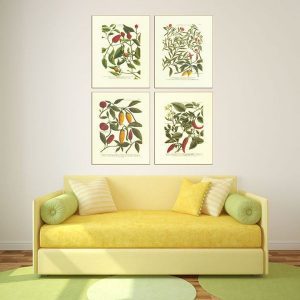 Bộ 4 tranh thiên nhiên các loại quả MS0472