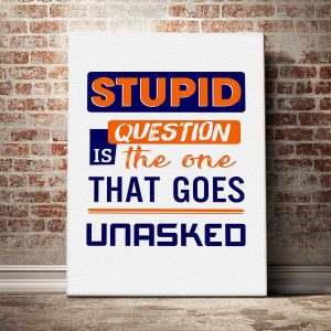 Stupid-question-is-the-one-that-goes-unasked