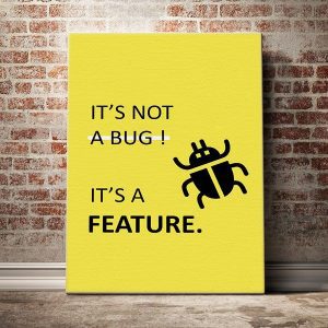 its-not-a-bug-its-a-feature